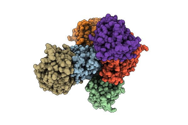 9PJ3 image