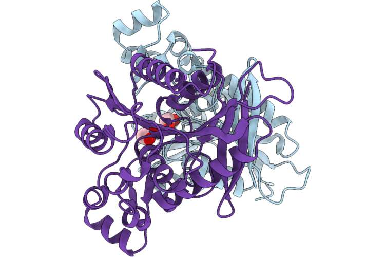 9PJB image