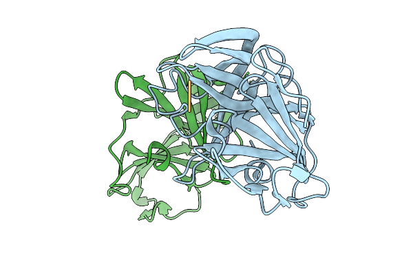 9PJF image