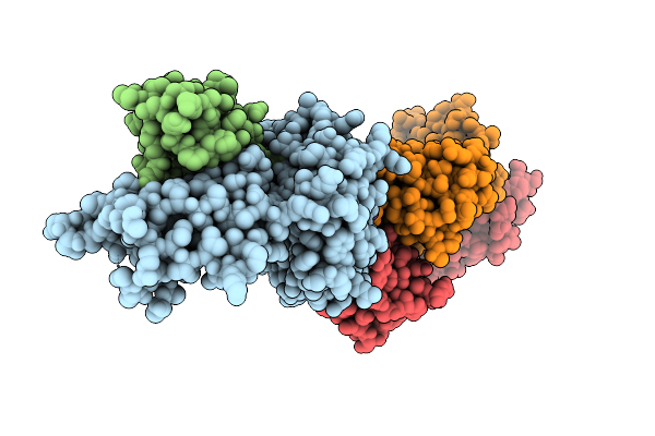 9PKF image