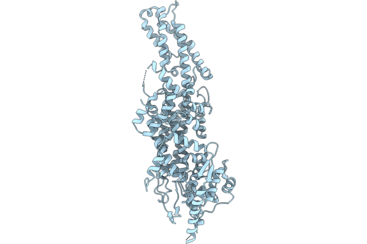 9PKH image
