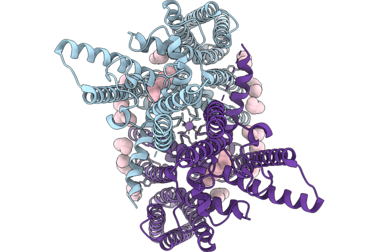9PKP image