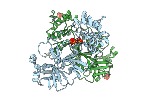 9PKR image