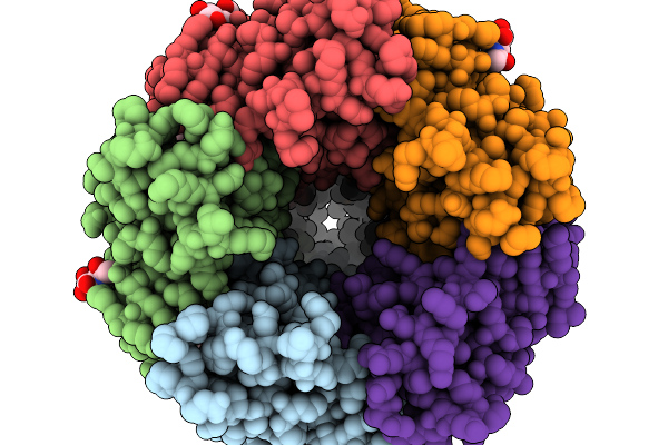 9PKZ image