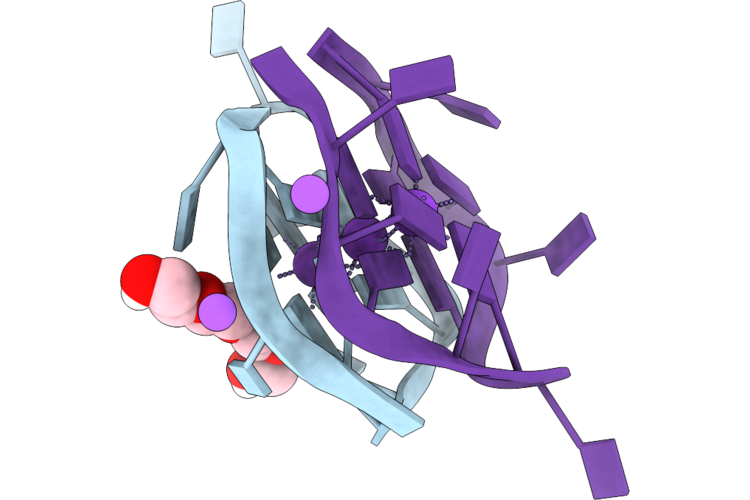 9PLB image