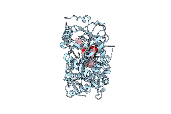 9PLJ image