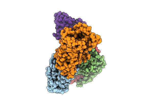 9PLO image