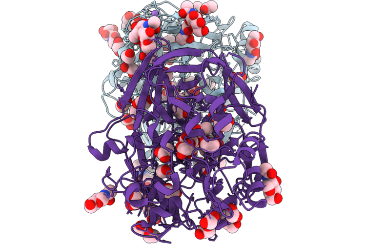 9PLV image