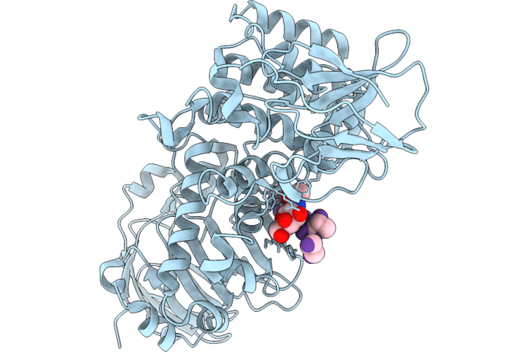 9PLW image