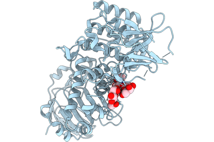 9PLX image