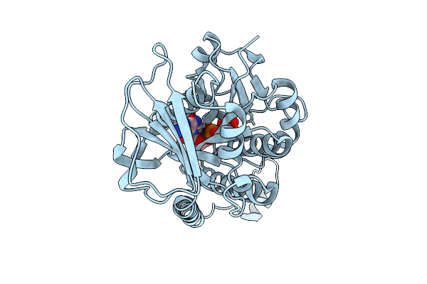 9PM9 image