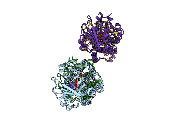 9PMK image
