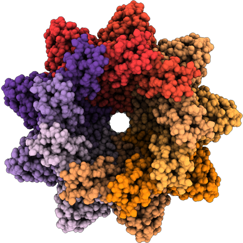 9PNA image