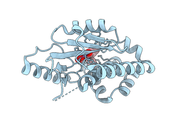 9PNL image
