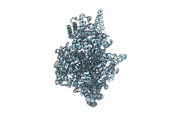 9PNR image