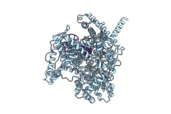 9PNV image