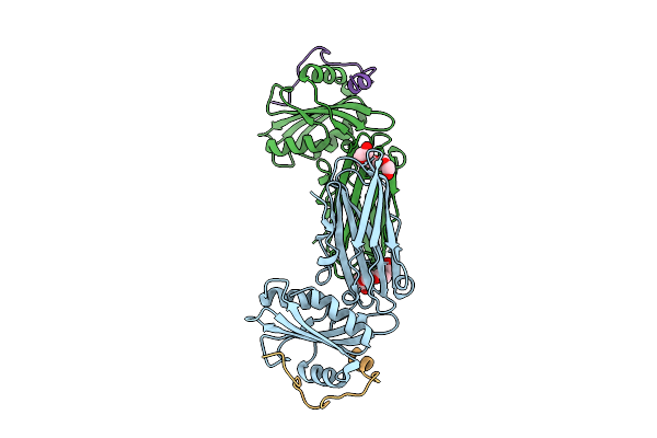 9PPP image