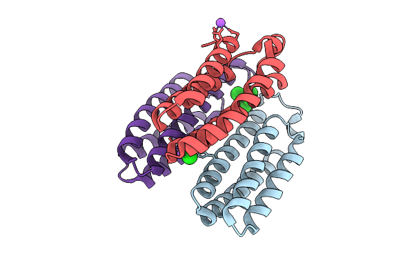 9PPR image