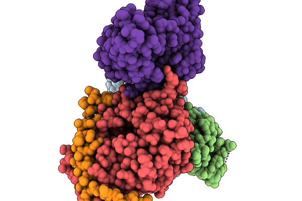 9PPX image