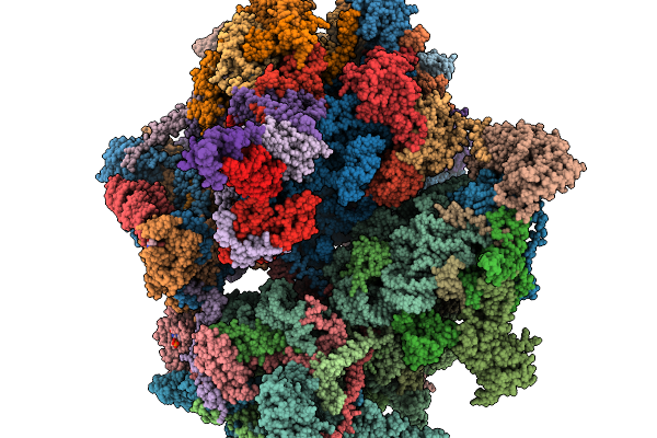 9PRD image