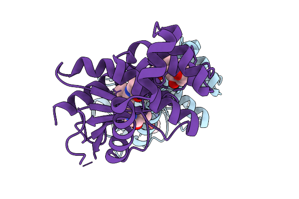 9PRF image