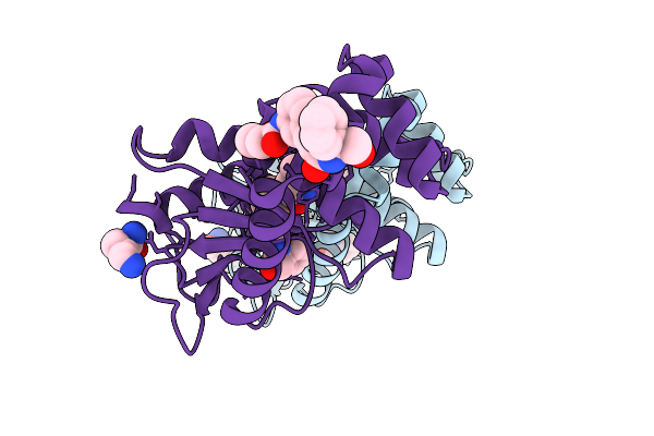 9PRG image
