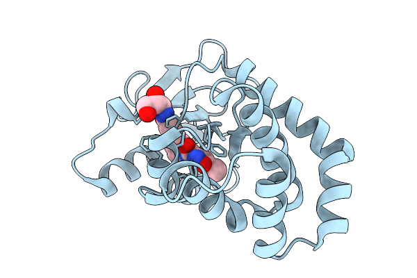 9PRH image