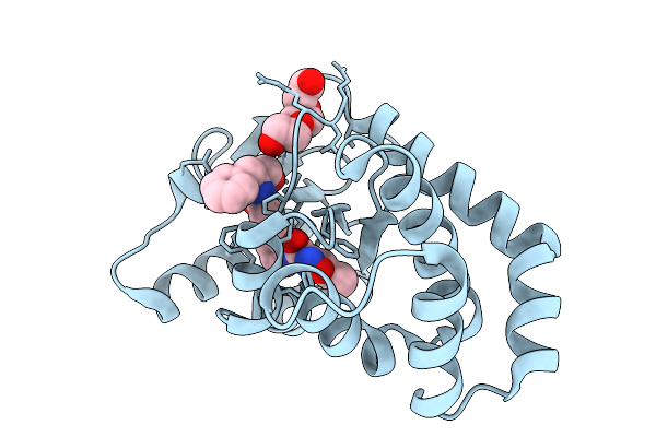 9PRJ image