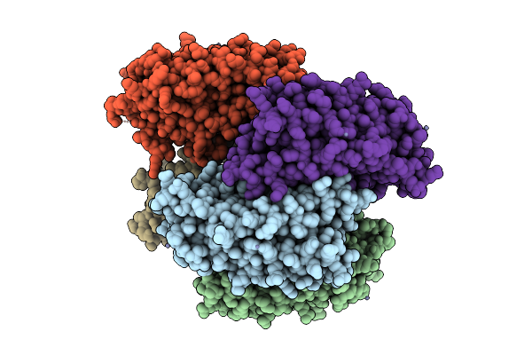 9PRR image