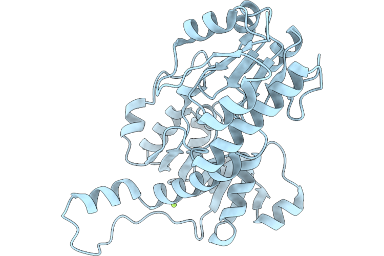 9PRV image