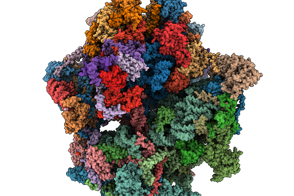 9PRX image