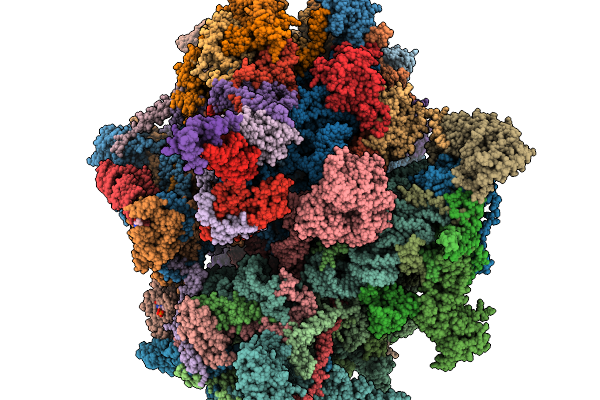 9PS7 image