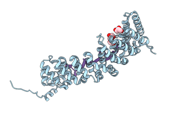 9PSB image