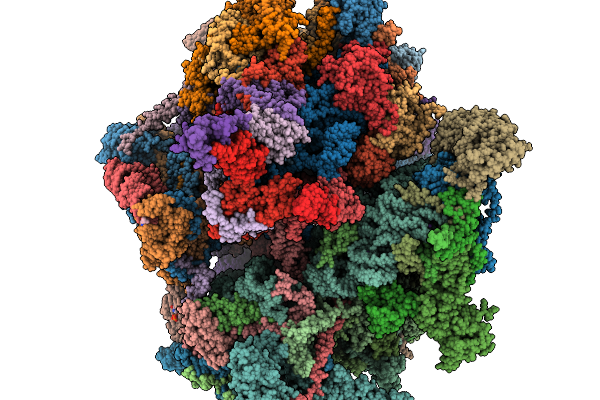 9PSM image