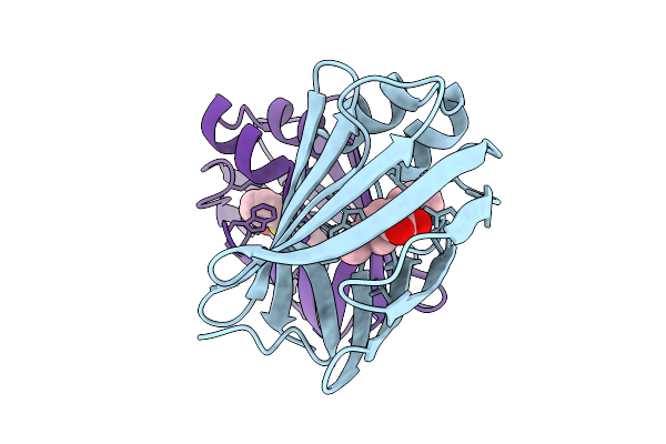 9PSY image
