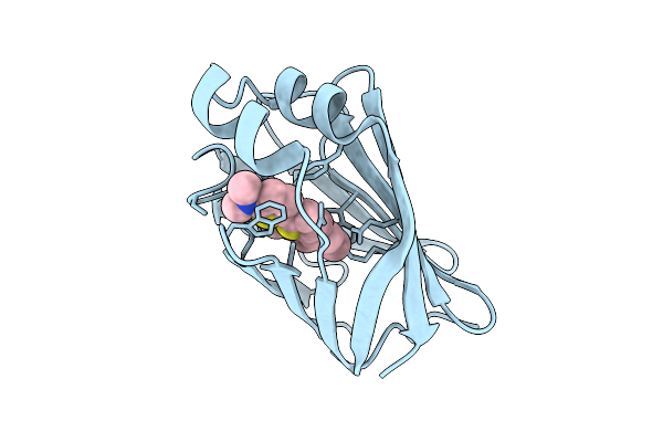 9PT0 image