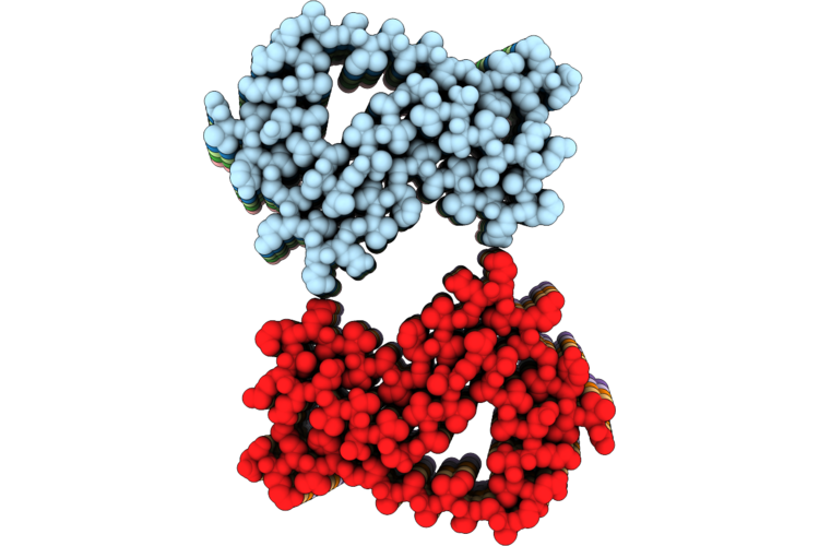 9PTA image
