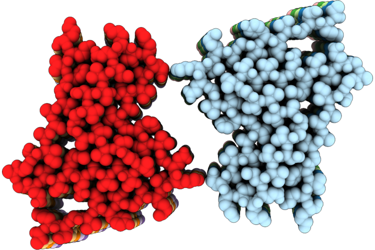 9PTC image