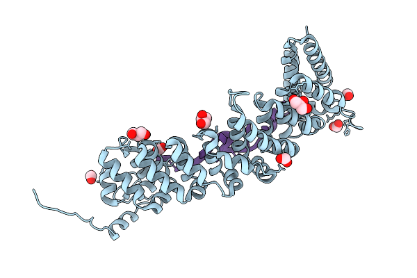 9PTJ image