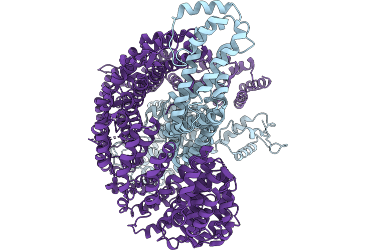 9PVH image