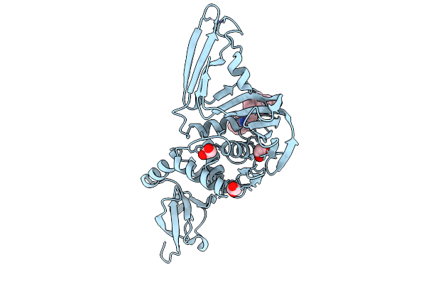9PVK image