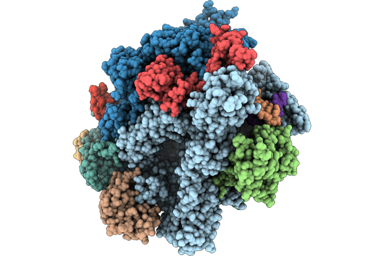 9PVV image