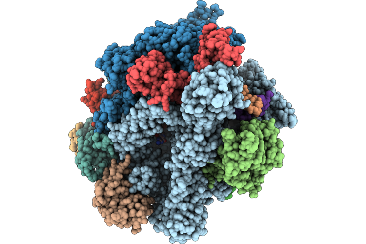 9PVX image