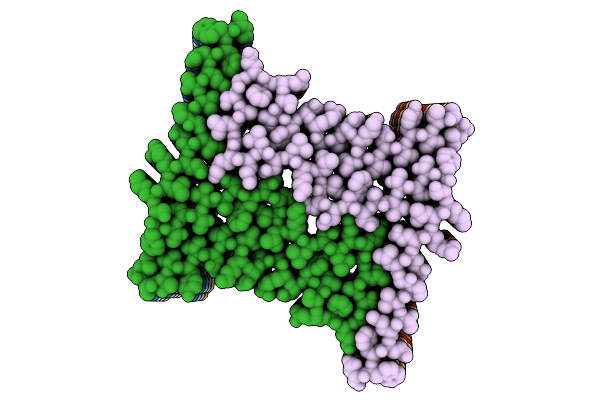9PVY image