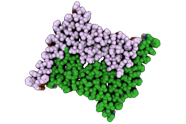 9PW3 image