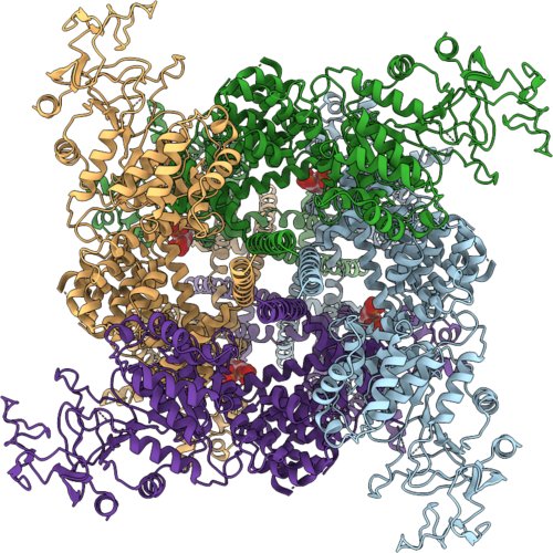 9PWF image