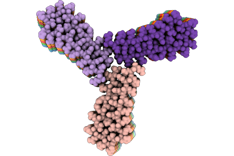9PX8 image