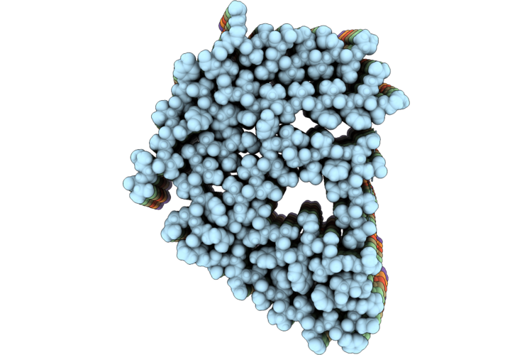 9PX9 image