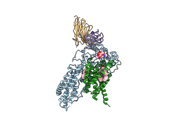 9PXB image