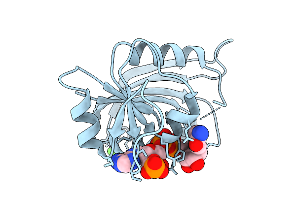 9PXC image
